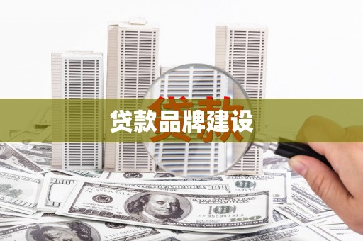 西林贷款品牌建设