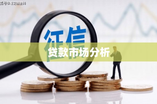 西林贷款市场分析