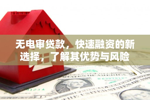 西林无电审贷款，快速融资的新选择，了解其优势与风险