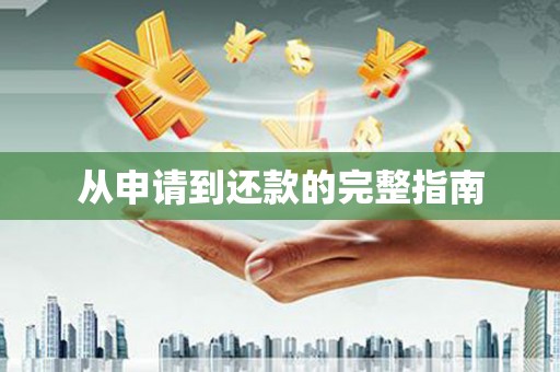 西林从申请到还款的完整指南