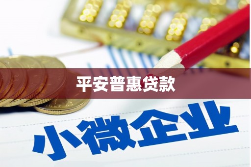 西林平安普惠贷款