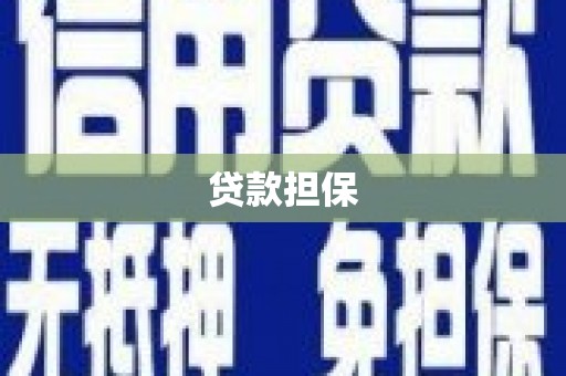 西林贷款担保