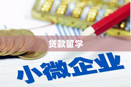 西林贷款留学