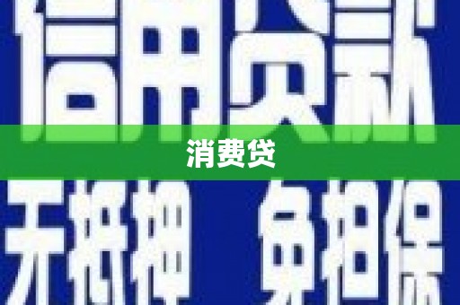 西林消费贷