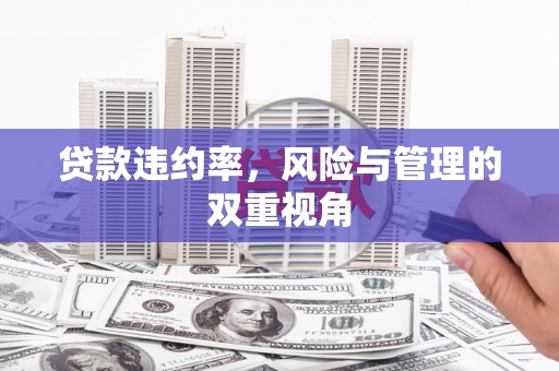 西林贷款违约率，风险与管理的双重视角