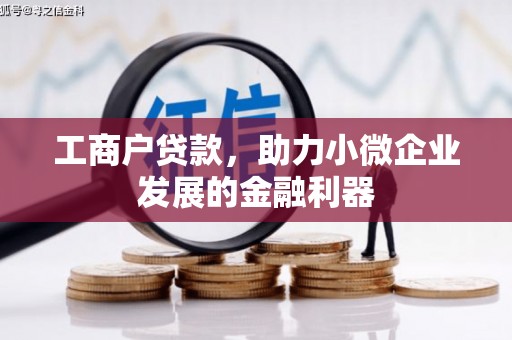 西林工商户贷款，助力小微企业发展的金融利器