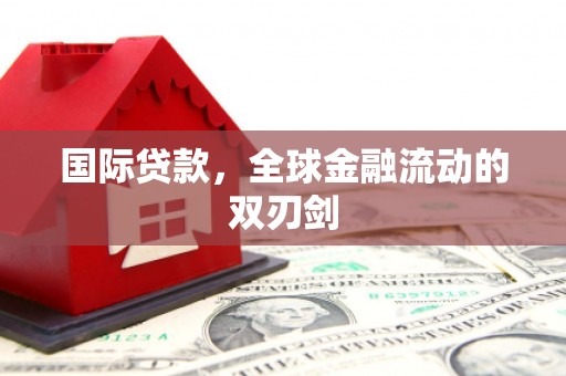 西林国际贷款，全球金融流动的双刃剑