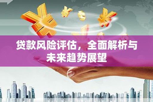 西林贷款风险评估，全面解析与未来趋势展望