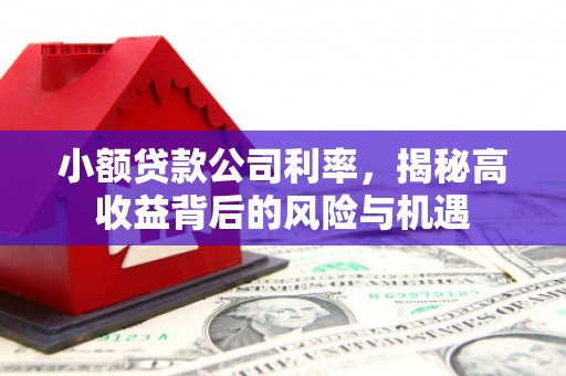 西林小额贷款公司利率，揭秘高收益背后的风险与机遇