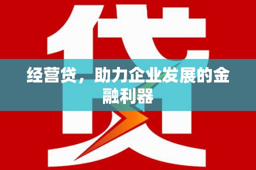 西林经营贷，助力企业发展的金融利器