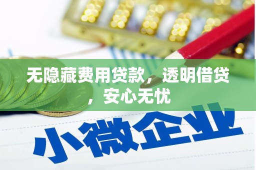 西林无隐藏费用贷款，透明借贷，安心无忧