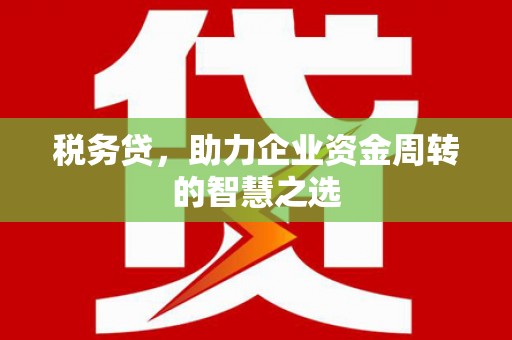 西林税务贷，助力企业资金周转的智慧之选
