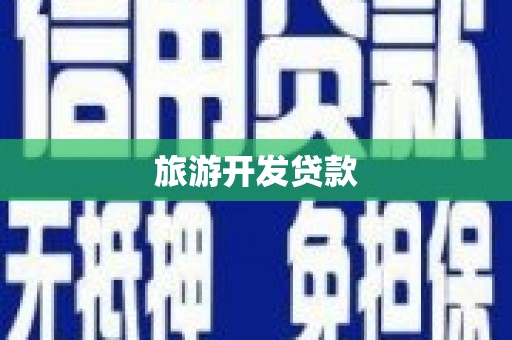 西林旅游开发贷款