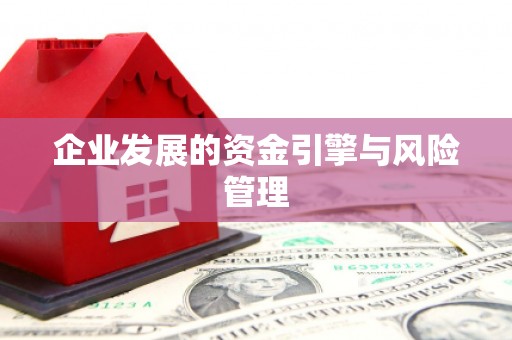 西林企业发展的资金引擎与风险管理