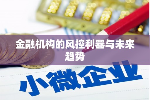 西林金融机构的风控利器与未来趋势