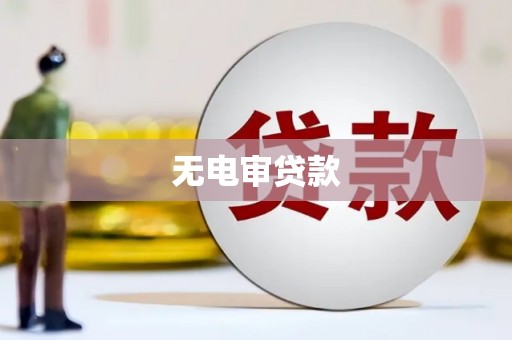 西林无电审贷款