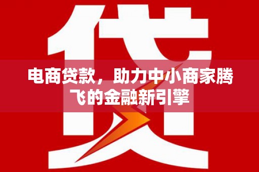 西林电商贷款，助力中小商家腾飞的金融新引擎
