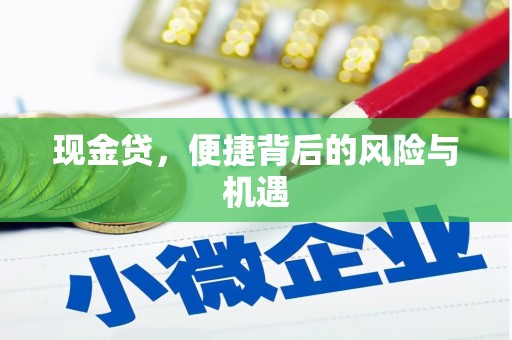 西林现金贷，便捷背后的风险与机遇