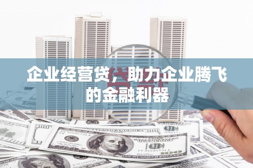 西林企业经营贷，助力企业腾飞的金融利器