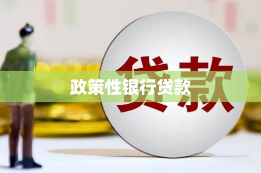 西林政策性银行贷款