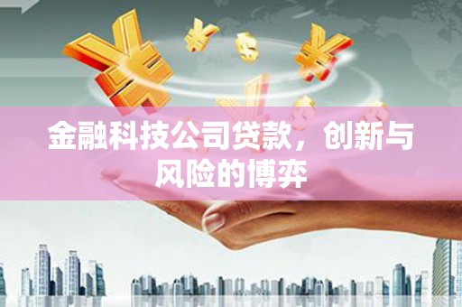 西林金融科技公司贷款，创新与风险的博弈