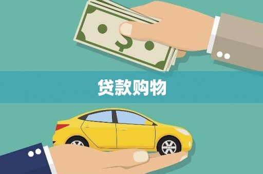 西林贷款购物