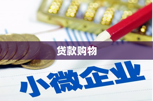 西林贷款购物