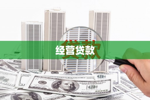 西林经营贷款