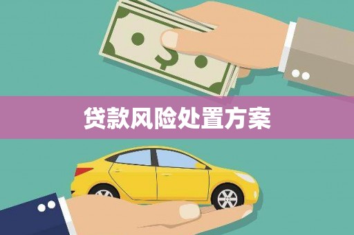 西林贷款风险处置方案