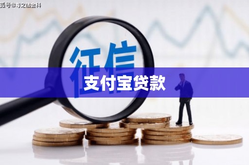 西林支付宝贷款