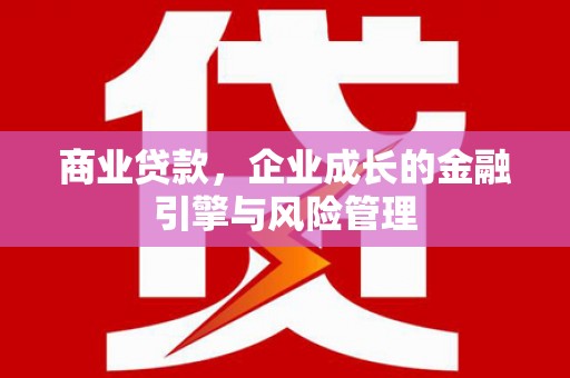 西林商业贷款，企业成长的金融引擎与风险管理