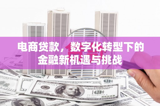 西林电商贷款，数字化转型下的金融新机遇与挑战