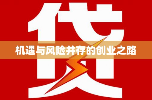 西林机遇与风险并存的创业之路