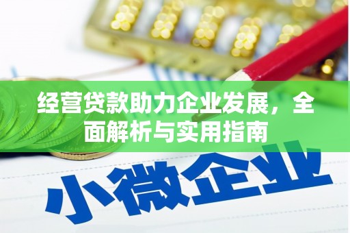 西林经营贷款助力企业发展，全面解析与实用指南