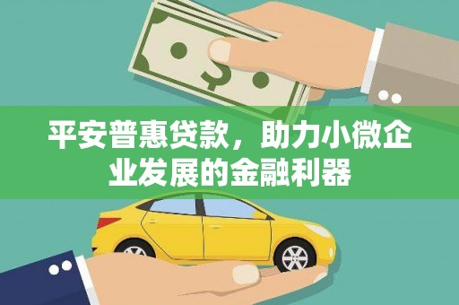西林平安普惠贷款，助力小微企业发展的金融利器