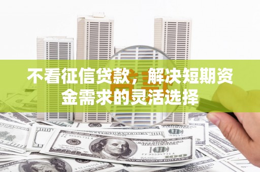 西林不看征信贷款，解决短期资金需求的灵活选择