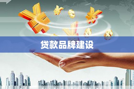 西林贷款品牌建设