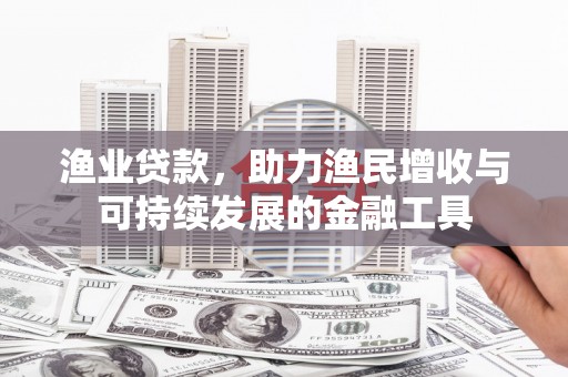 西林渔业贷款，助力渔民增收与可持续发展的金融工具