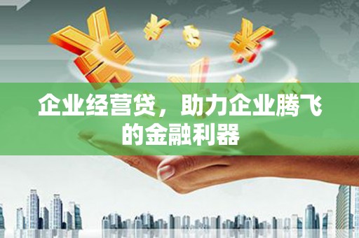 西林企业经营贷，助力企业腾飞的金融利器