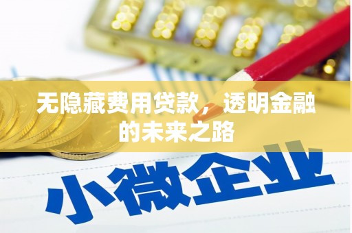 西林无隐藏费用贷款，透明金融的未来之路
