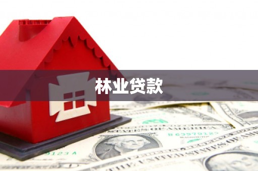 西林林业贷款
