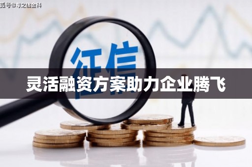 西林灵活融资方案助力企业腾飞