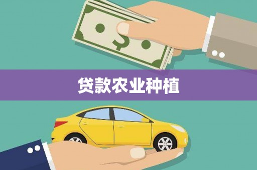 西林贷款农业种植