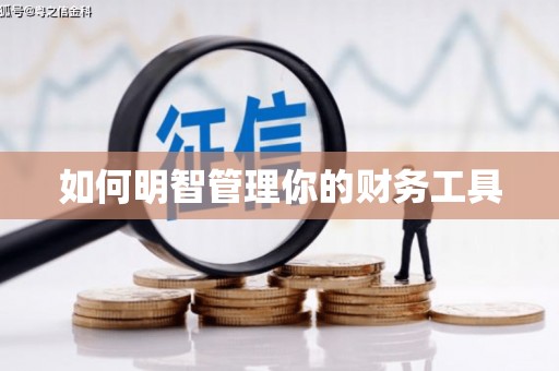 西林如何明智管理你的财务工具