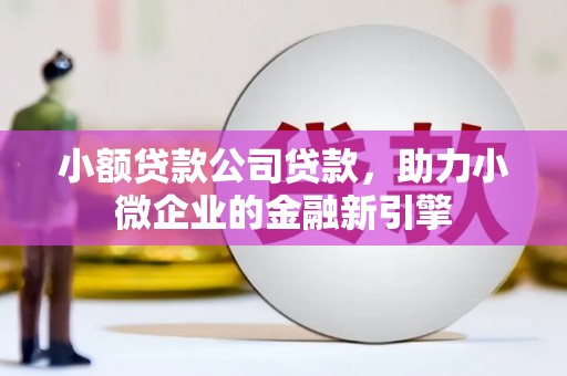西林小额贷款公司贷款，助力小微企业的金融新引擎