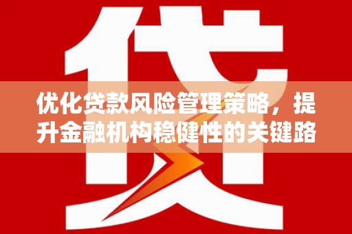 西林优化贷款风险管理策略，提升金融机构稳健性的关键路径