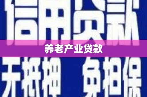西林养老产业贷款