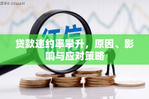西林贷款违约率攀升，原因、影响与应对策略
