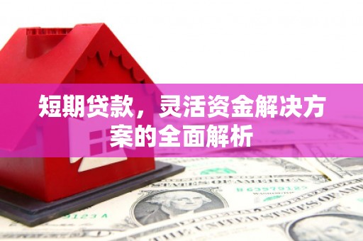 西林短期贷款，灵活资金解决方案的全面解析