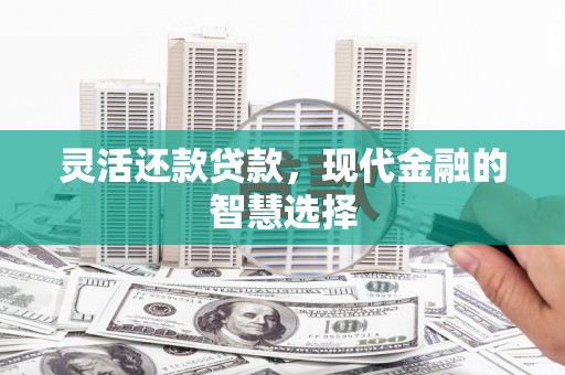 西林灵活还款贷款，现代金融的智慧选择